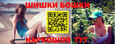 соль ск Сланцы