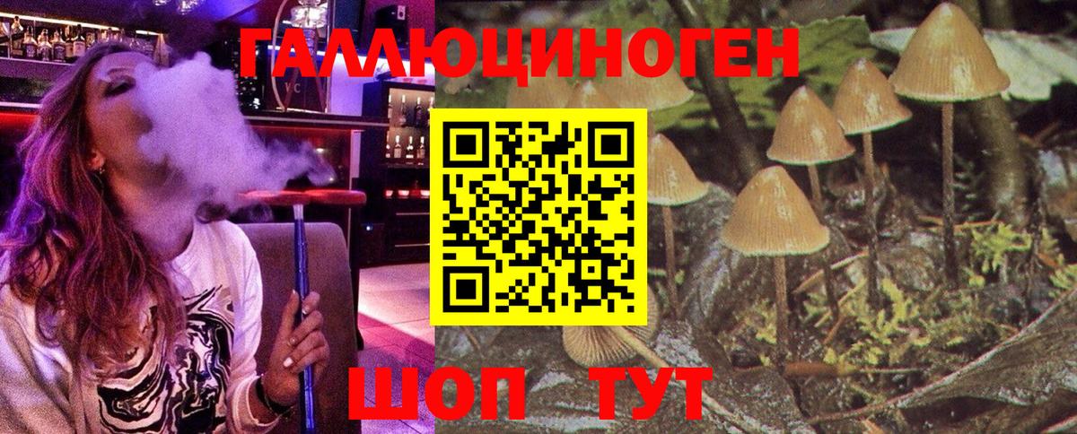 Псилоцибиновые грибы мицелий  Вход с VPN  Полевской  Псилоцибиновые грибы мицелий 